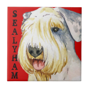 Kvarter för färg för Sealyham Terrier Kakelplatta