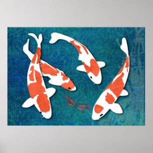 Kvartett av orangen & vit Kohaku Koi Poster