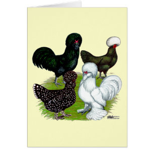 Kvartetten top hat Chicken OBS Kort
