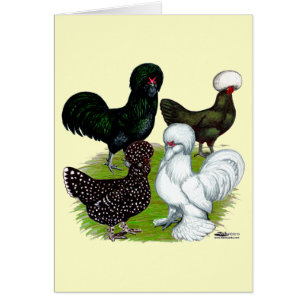 Kvartetten top hat Chicken OBS Kort