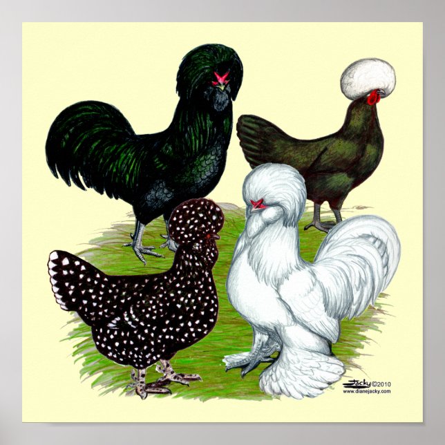 Kvartetten top hat Chicken Poster (Framsidan)