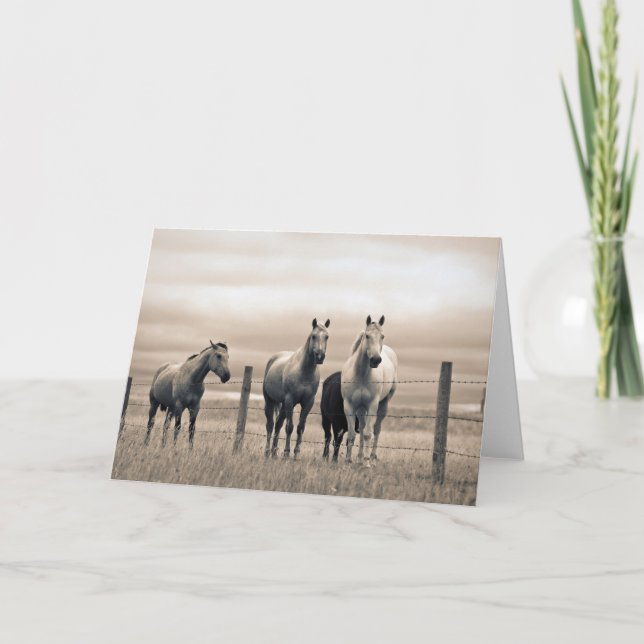 Kvarthästar på Kanadas Prairie Kort (Framsida)