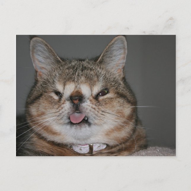 Kvasivykort Vykort (Framsida)