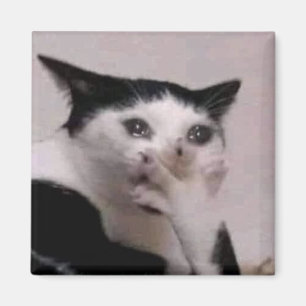Kvävande Katt Meme Magnet