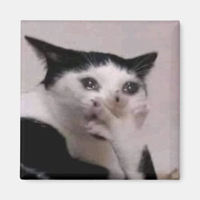 Kvävande Katt Meme Magnet (Framsidan)