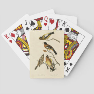 Kväve, utspridd Grosbeak Audubon Birds of America Casinokort