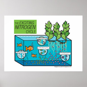 Kvävecykeln för excitering poster
