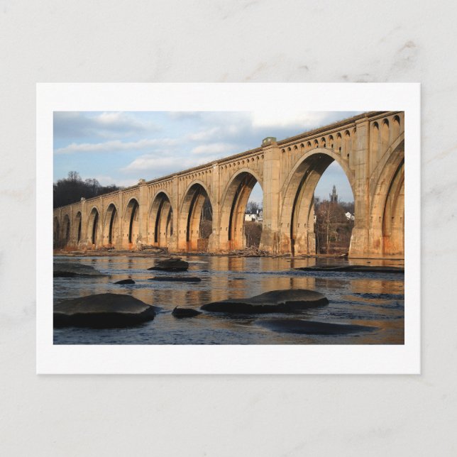 Kvävekorsning Vykort (Framsida)