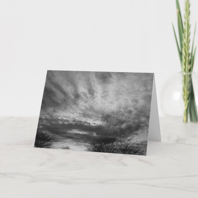 Kvävsfack / Noir Kort (Framsida)