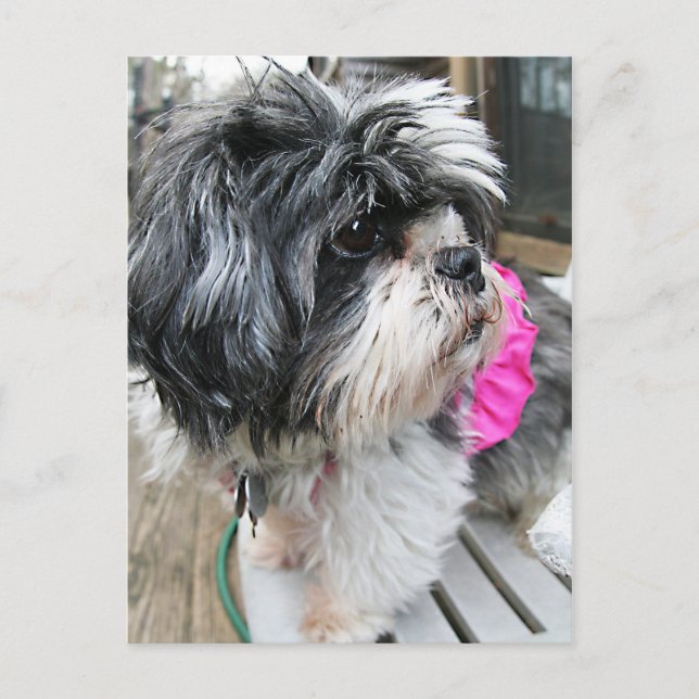 KVIN! VYKORT (Framsida)