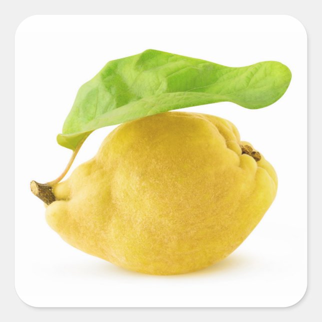 Kvingfrukt Fyrkantigt Klistermärke (Framsida)