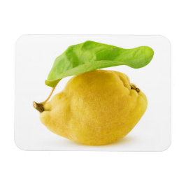 Kvingfrukt Magnet