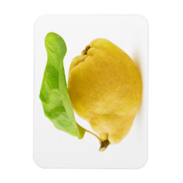Kvingfrukt Magnet