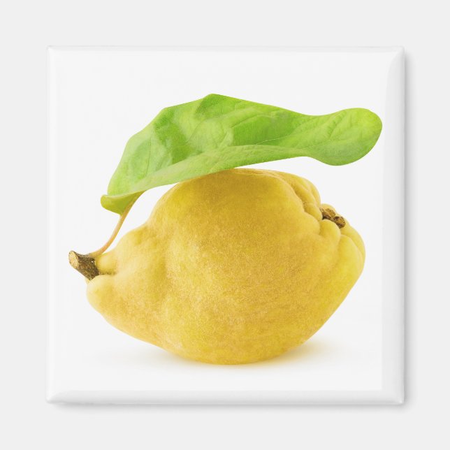 Kvingfrukt Magnet (Framsidan)