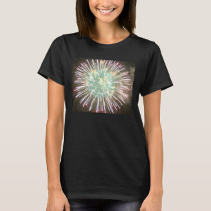 Kvinna mjuk T-tröja för Hanes komfort T-shirt