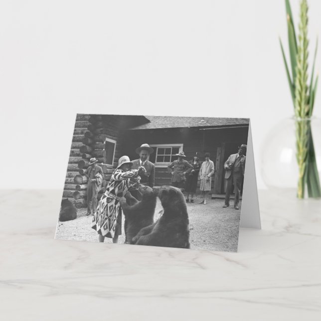 Kvinna som matar bears. kort (Framsida)