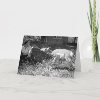 Kvinnaflaska - mata en antelope. kort