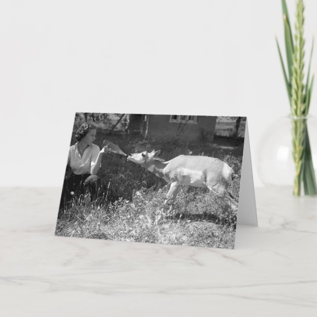Kvinnaflaska - mata en antelope. kort (Framsida)