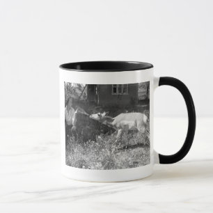 Kvinnaflaska - mata en antelope. mugg