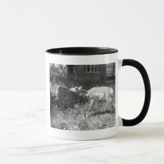 Kvinnaflaska - mata en antelope. mugg