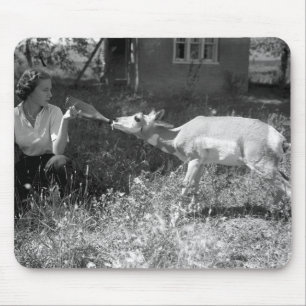 Kvinnaflaska - mata en antelope. musmatta