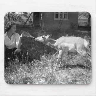 Kvinnaflaska - mata en antelope. musmatta