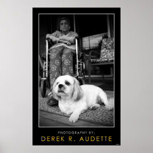 Kvinnan rullar in stolen och den små hunden poster
