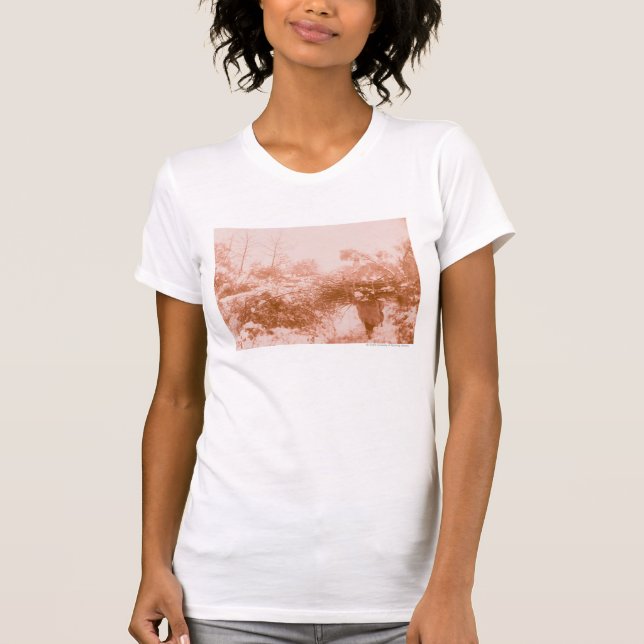 Kvinnaträihopsamlare T-shirt (Framsida)