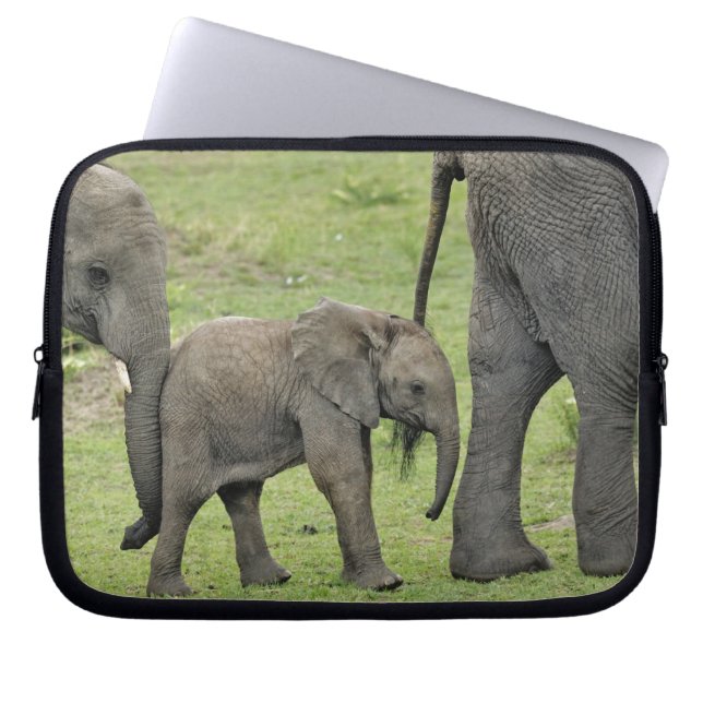 Kvinnlig afrikansk elefant med Baby Laptop Sleeve (Framsidan)
