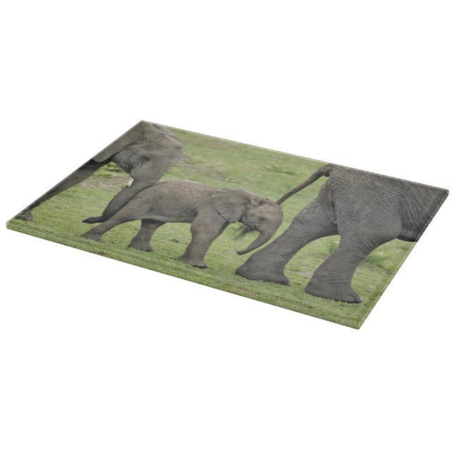 Kvinnlig afrikansk elefant med unge (Hörn)