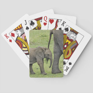 Kvinnlig afrikansk elefant med unge spelkort