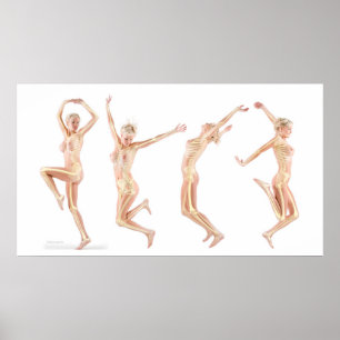 Kvinnlig anatomi poster