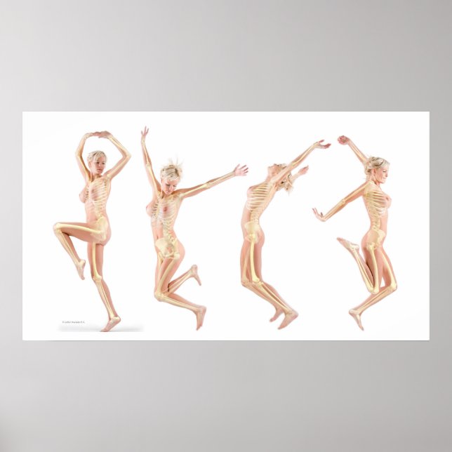 Kvinnlig anatomi poster (Framsidan)