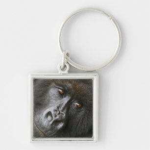 Kvinnlig bergsgorilla fyrkantig silverfärgad nyckelring