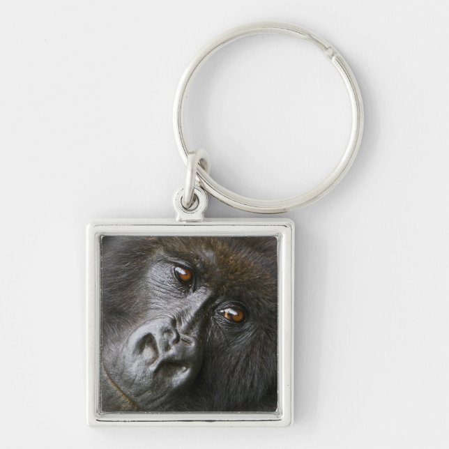 Kvinnlig bergsgorilla fyrkantig silverfärgad nyckelring (Framsidan)