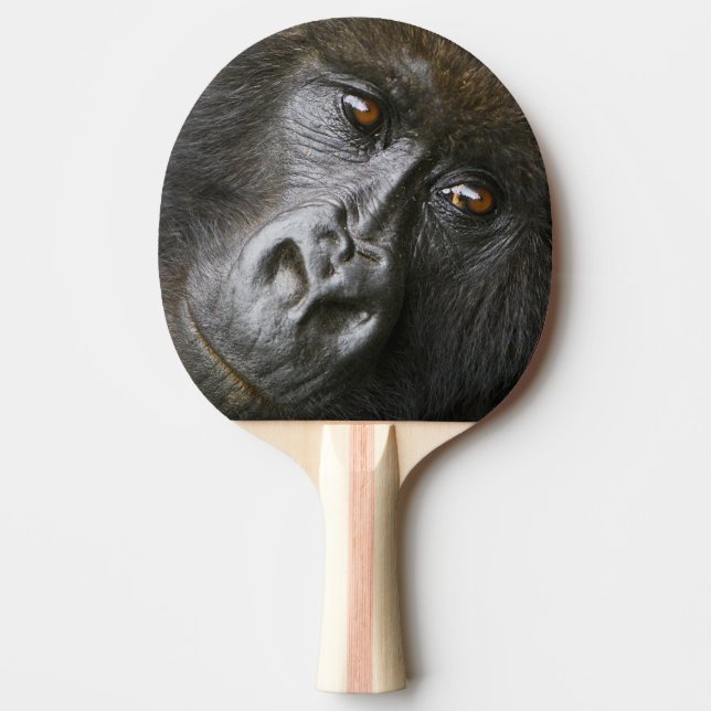 Kvinnlig bergsgorilla pingisracket (Framsidan)
