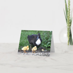 Kvinnlig blåttsvenskanka med Ducklings Kort