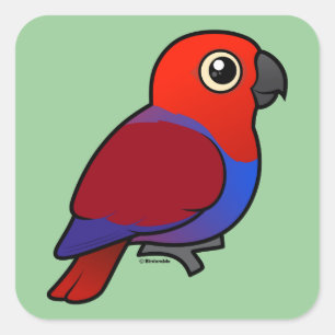 Kvinnlig Eclectus papegoja Fyrkantigt Klistermärke