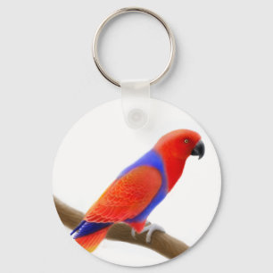 Kvinnlig Eclectus papegoja Keychain Nyckelring