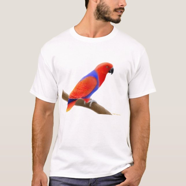 Kvinnlig Eclectus papegojaT-tröja Tee Shirt (Framsida)