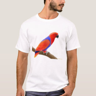 Kvinnlig Eclectus papegojaT-tröja Tröja