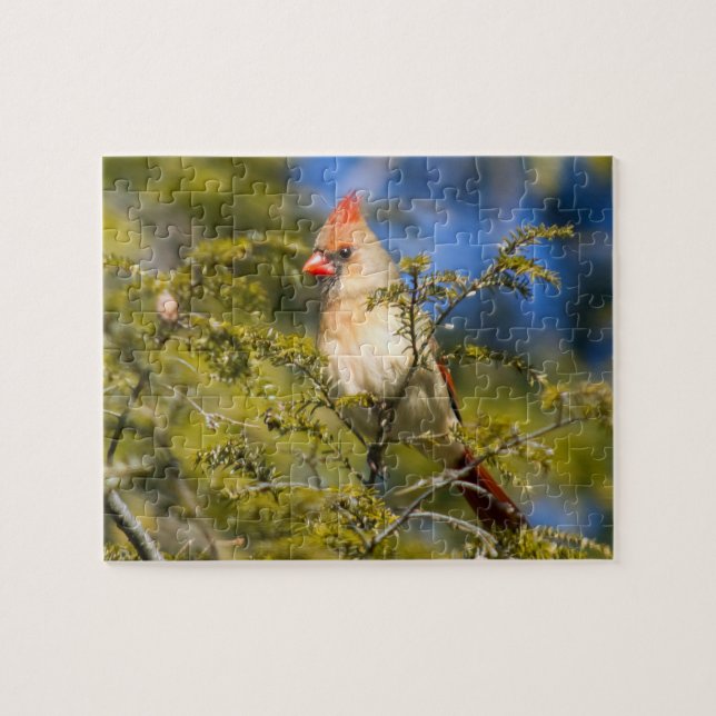 Kvinnlig kardinal i Evergreen Pussel (Horisontell)
