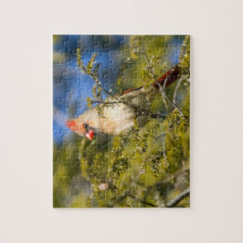 Kvinnlig kardinal i Evergreen Pussel