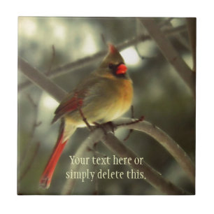 Kvinnlig kardinal kakelplatta