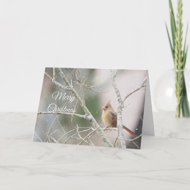 Kvinnlig kardinal på vintergrenar Anpassningsbar Helgkort (Framsida)