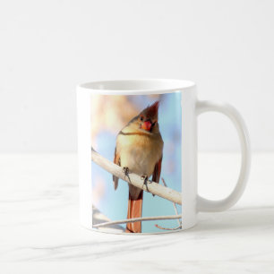Kvinnlig kardinal som tittar dig kaffemugg