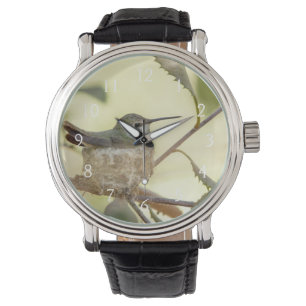 Kvinnlig kolibri på sitt bo armbandsur