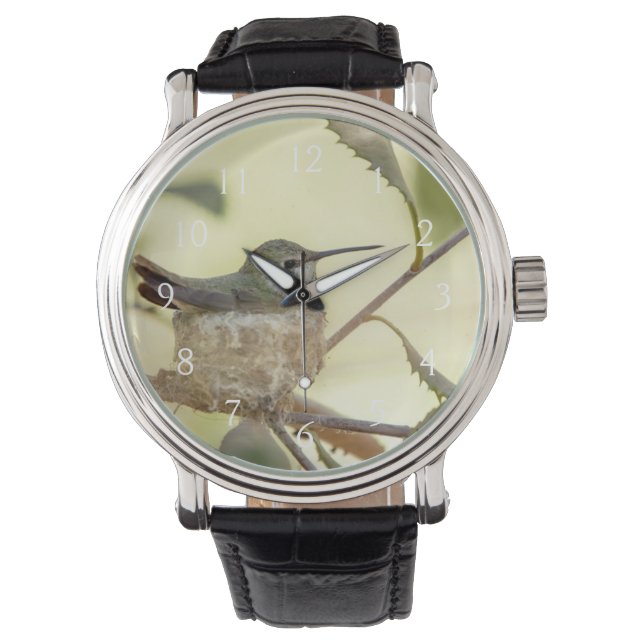 Kvinnlig kolibri på sitt bo armbandsur (Framsida)