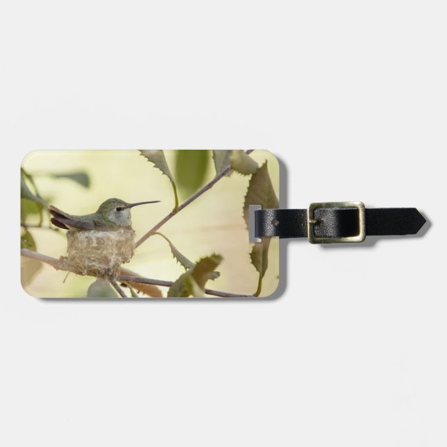 Kvinnlig kolibri på sitt bo bagagebricka (Horisontell Framsida)