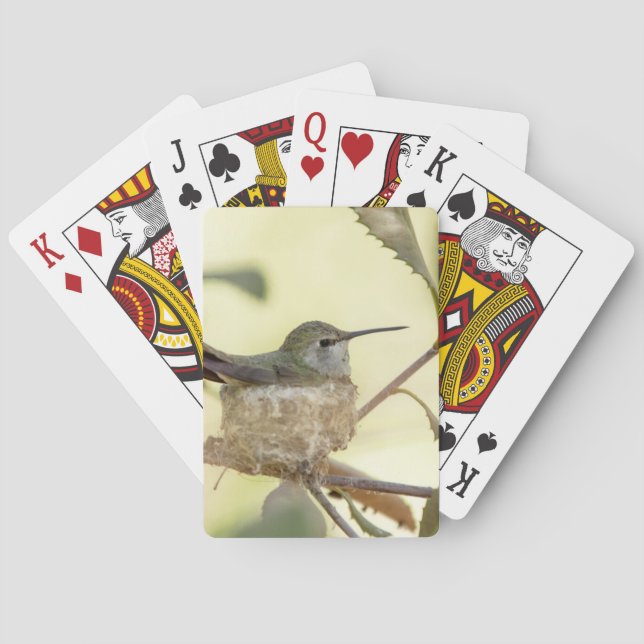 Kvinnlig kolibri på sitt bo spel kort (Baksidan)